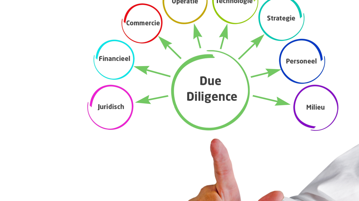 hoe werkt een due diligence?